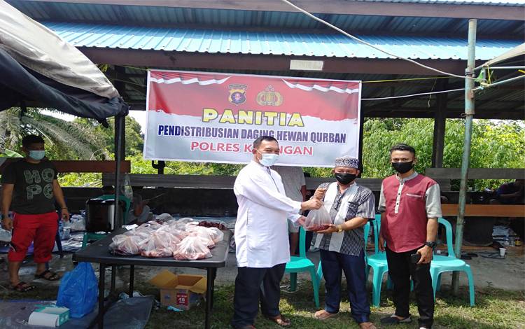 Polres Katingan Potong 8 Ekor Sapi