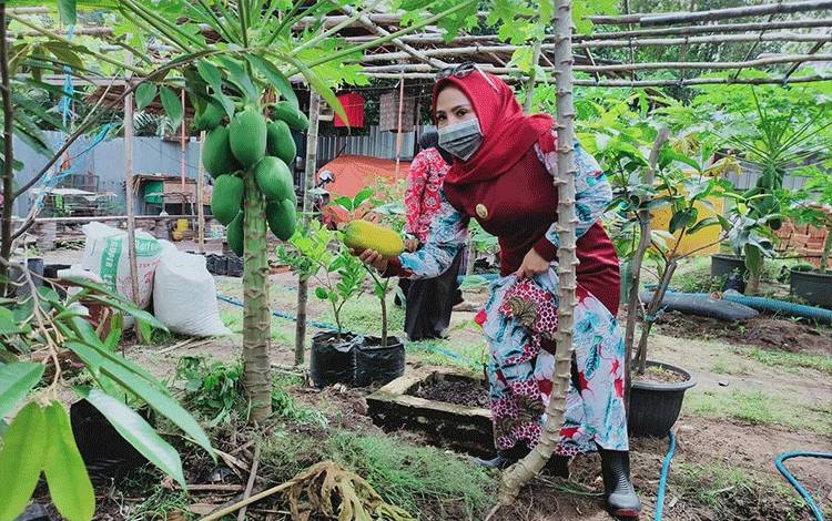 Warga Seruyan Diminta Manfaatkan Pekarangan untuk Bercocok Tanam