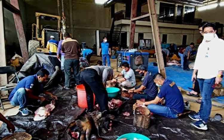 Dinas PUPR Barito Utara Bagikan 6 Ekor Daging Hewan Kurban