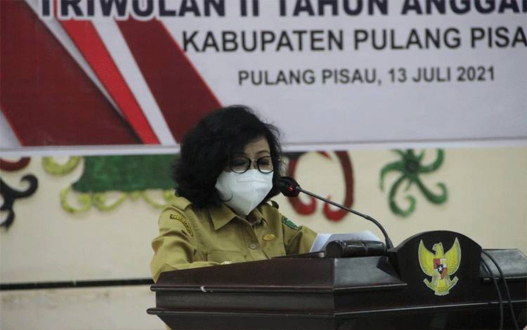 Indeks Pembangunan Manusia dan Perekonomian Pulang Pisa Meningkat
