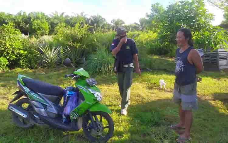 Orangutan Bekas Peliharaan Muncul Kembali di Bapanggang Raya setelah Kabur Lima Tahun Lalu