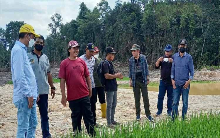 Lahan Padi Sawah Poktan Mitra Laba Jadi Rujukan Poktan Keluarga Sepakat