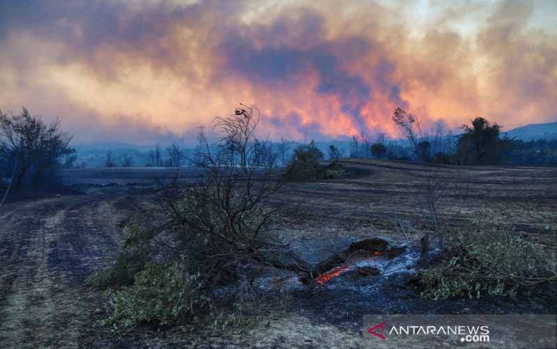 KBRI Ankara: Tidak Ada WNI Jadi Korban Kebakaran Hutan di Turki