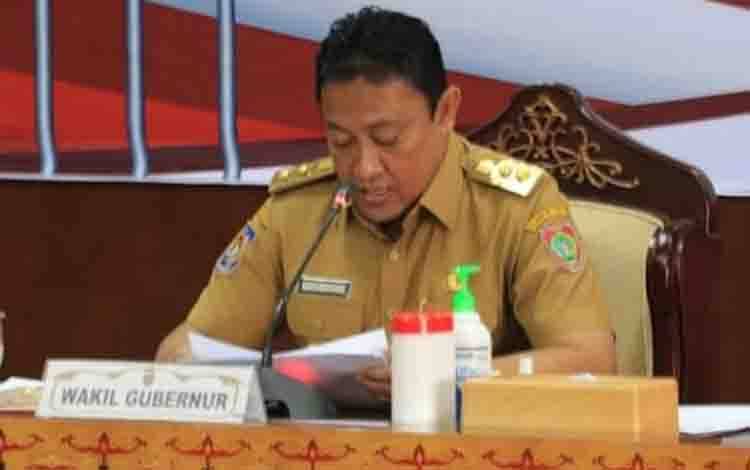 Food Estate Diharapkan Mampu Menambah Kebutuhan Pangan Dalam dan Luar Negeri