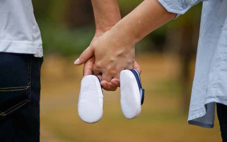 Inilah Syarat Keberhasilan Inseminasi Buatan