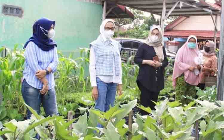 Ketua TP PKK Kalteng Ajak Masyarakat Manfaatkan Pekarangan untuk Tanam Sayuran