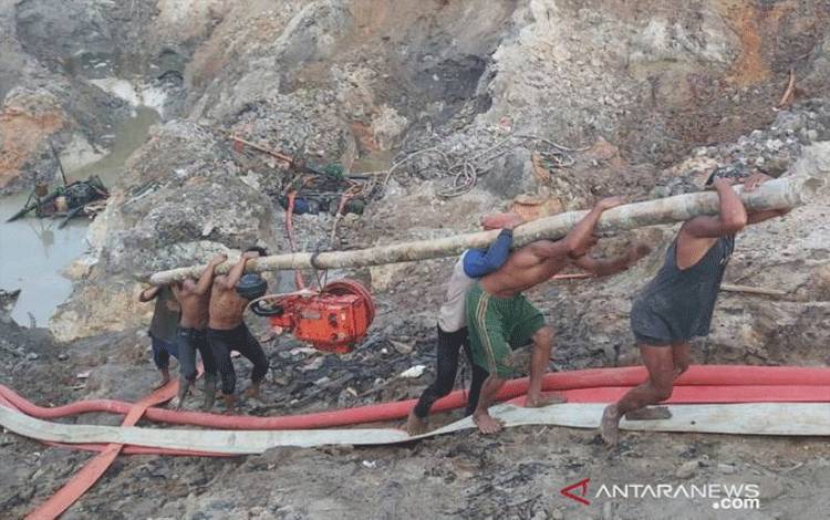 Penambang Ilegal Jarah Konsesi PT Timah di Babel