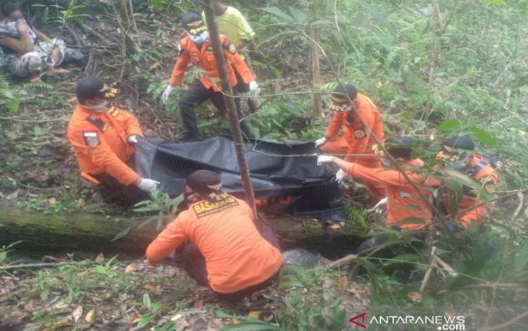 Akhir Pencarian Lansia yang Hilang di Hutan Selama 7 Hari