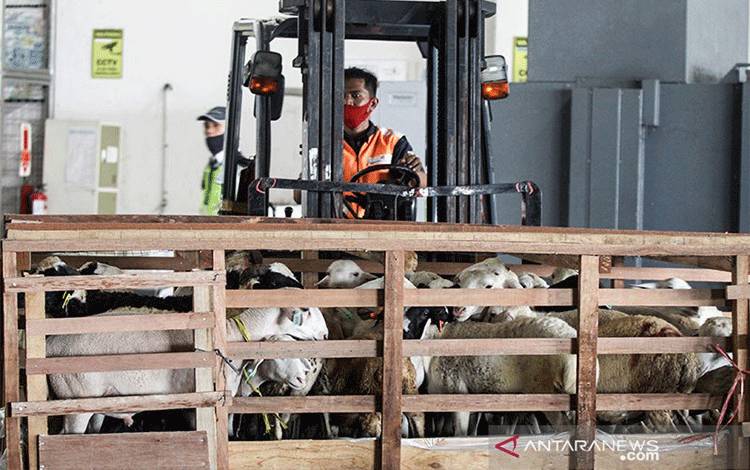 Kementan Minta Pelaku Usaha Pertanian Ikuti Pasar Global
