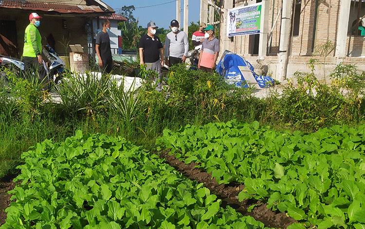 Bupati Kotim Mengaku Sulit Mengendalikan Harga Sayur