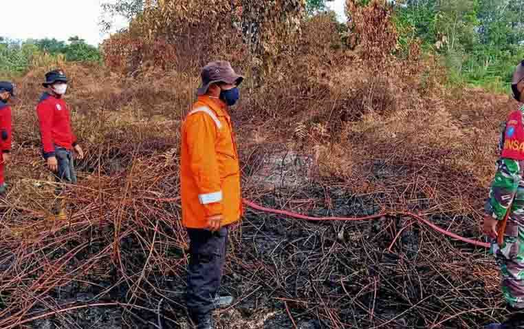Awal Agustus 11 Hektar Lahan Terbakar di Kobar
