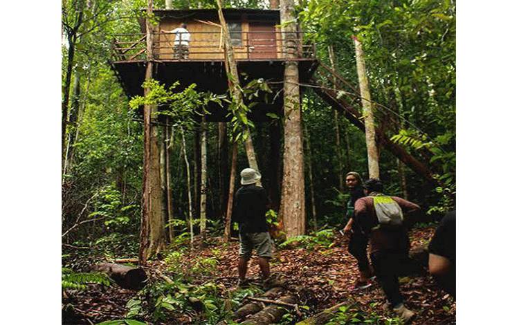 Bupati Pulang Pisau Ingin Hutan Adat Tangkahen Jadi Ekowisata