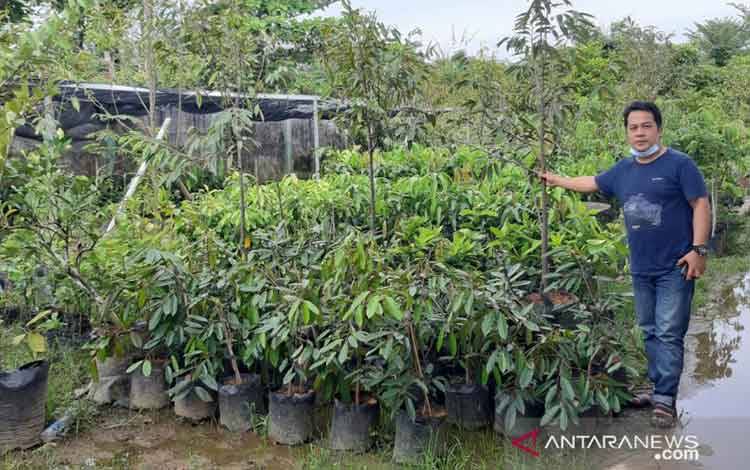 Kementan Siapkan Pelatihan-Pendanaan untuk Regenerasi Petani