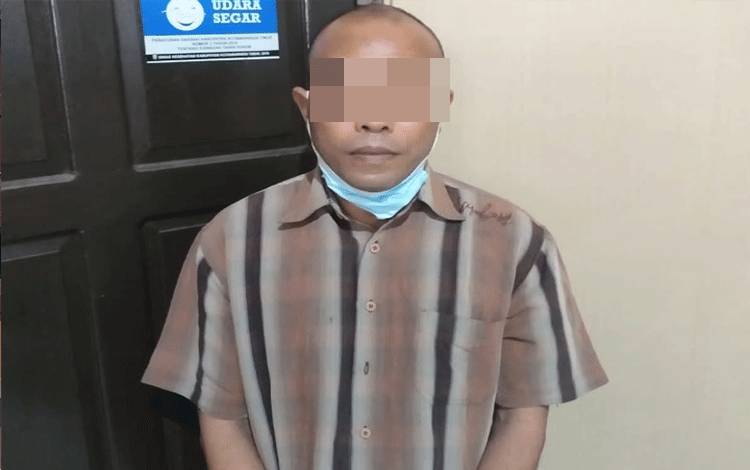 Terpaksa Curi Sawit Karena Hasil Kebun Sendiri Tidak Mencukupi