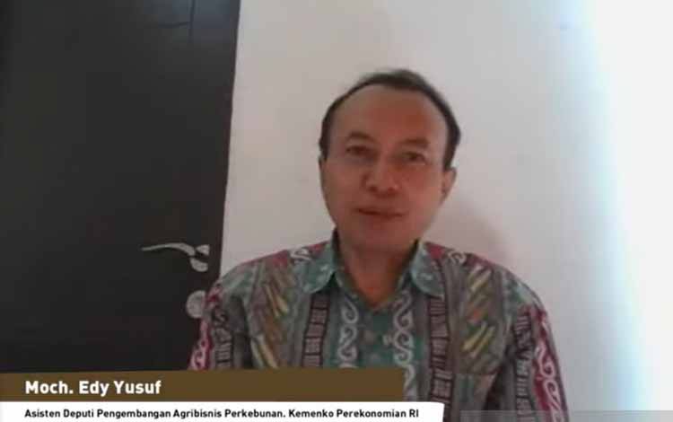 Pemerintah Masih Telaah Moratorium Sawit