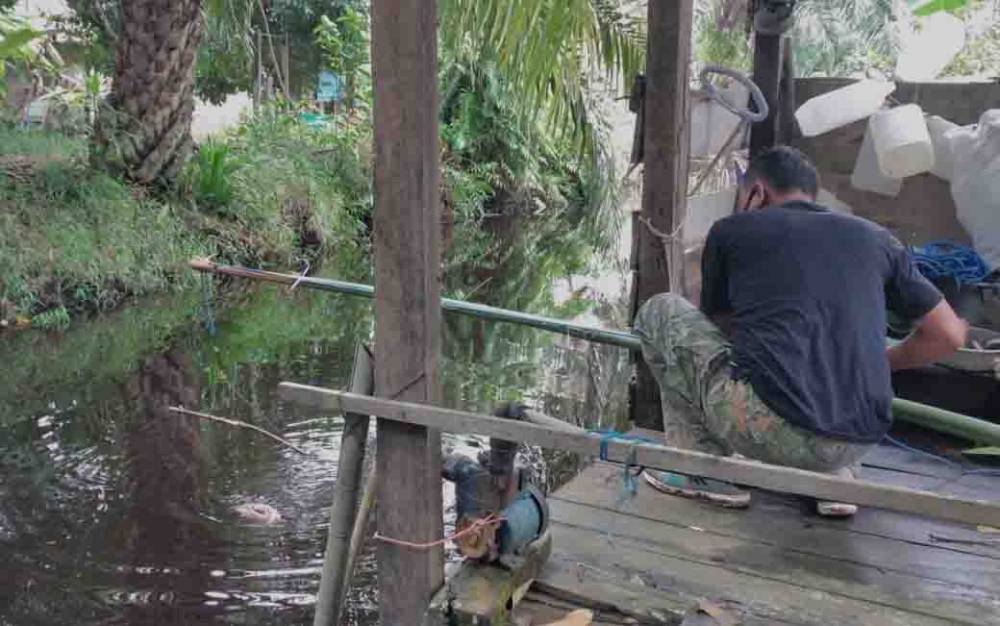 BKSDA Pancing Buaya Sungai Sapihan dengan Ayam