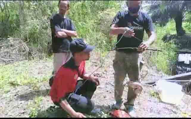 Pancing Buaya di Sungai Sapihan Belum Buahkan Hasil