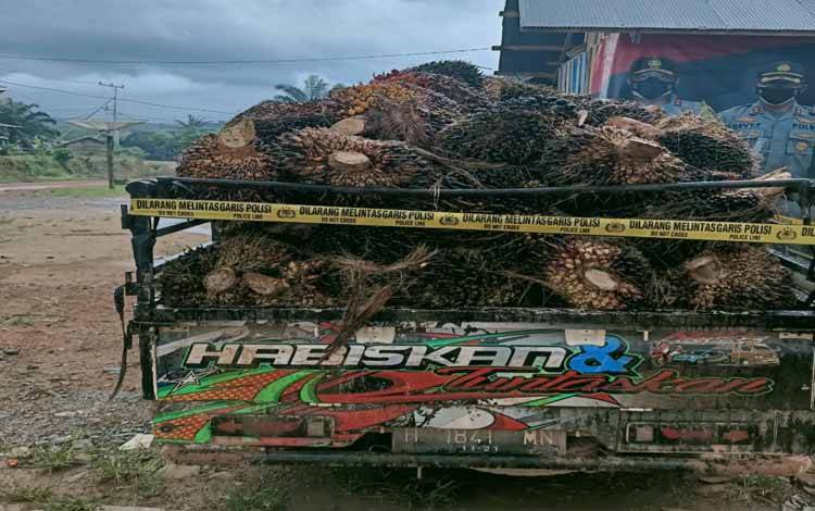 Curi Buah Sawit Milik Perusahaan, Pelaku Terancam 5 Tahun Penjara