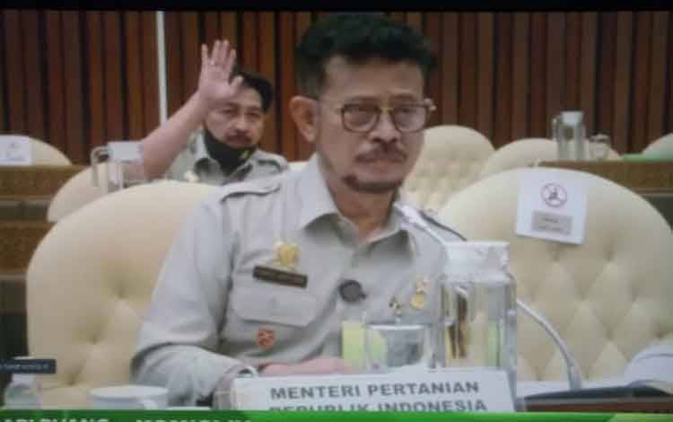 Kementan Targetkan padi Capai 55,2 Juta Ton di 2022