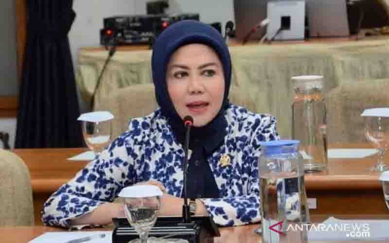 Politisi PAN: Kritik Bagian dari Demokrasi