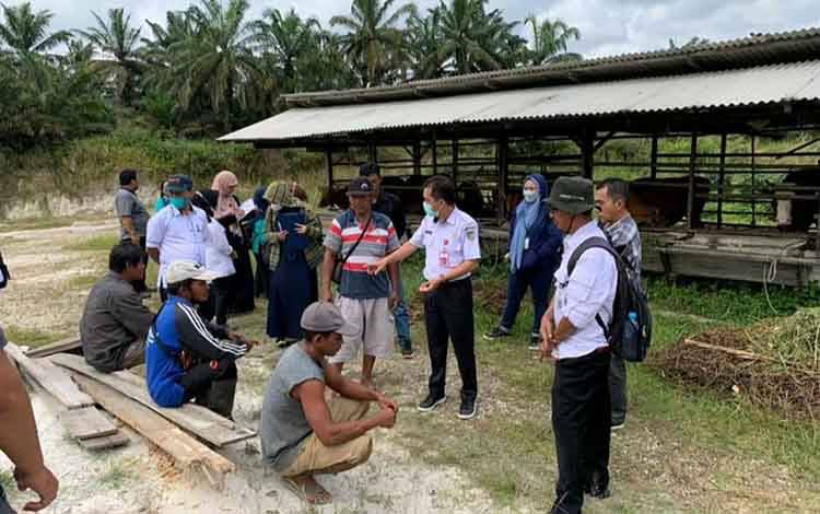Peluang Usaha Bidang Peternakan Sangat Menjanjikan di Barito Utara
