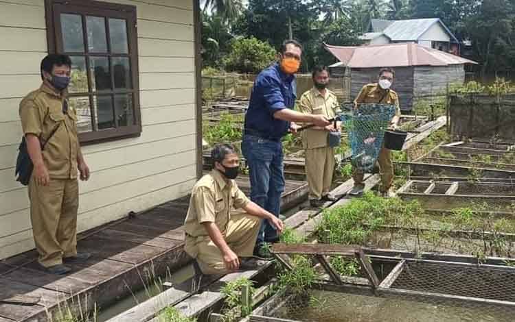 Pemprov Kalteng Dukung Pengembangan Ikan Lokal di Daerah