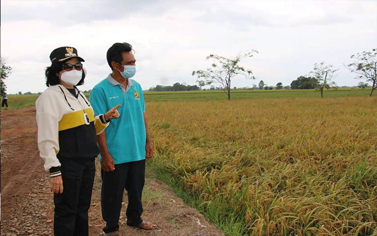 Bupati Pulang Pisau: Banyak Hal Bisa Dipetik dari Food Estate