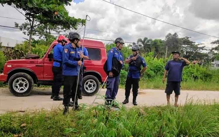 Monyet Peliharaan Lepas di Jalan Pramuka Sampit, Petugas Dibuat Kewalahan