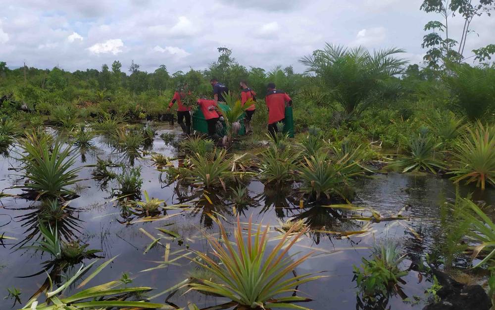 Kebun Nanas Warga di Jalan Samekto Barat Kebanjiran dan Jadi Incaran Beruang