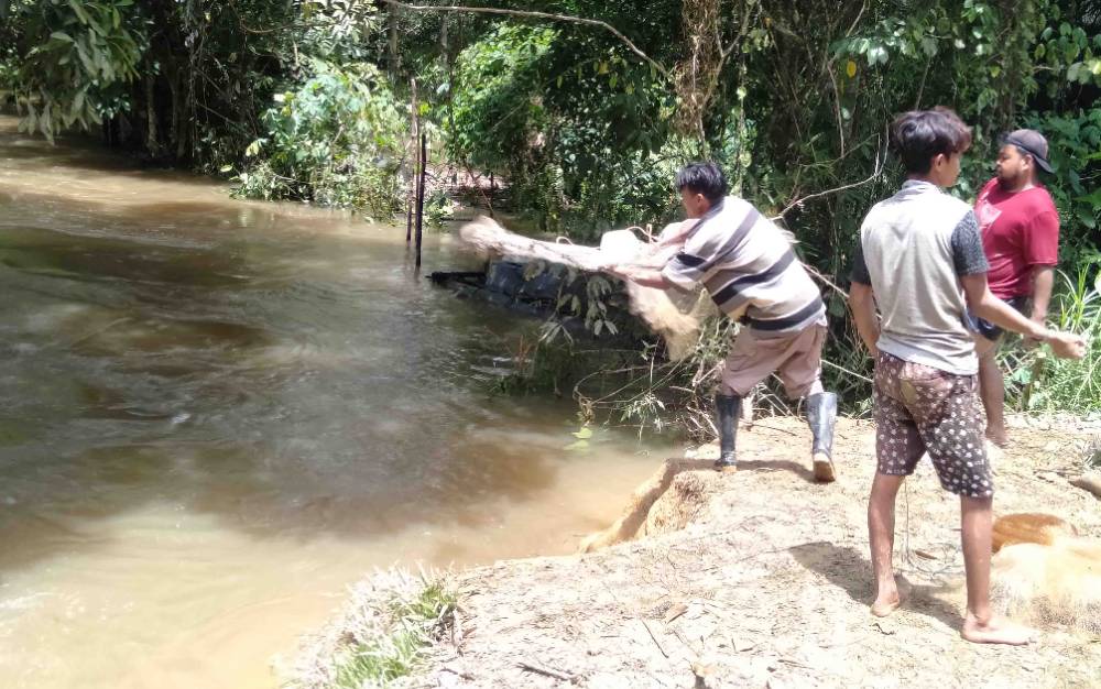 Insentitas Hujan di Katingan Masih Tinggi