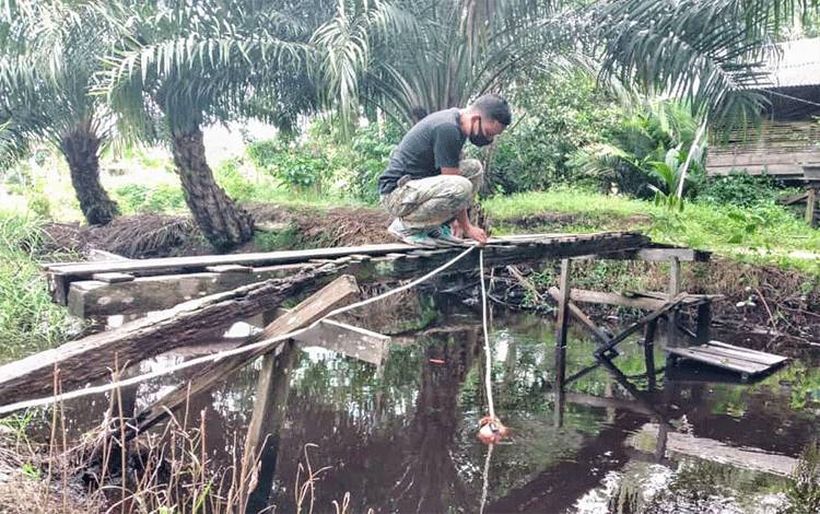 Pancing Buaya di Sungai Sapihan akan Digeser
