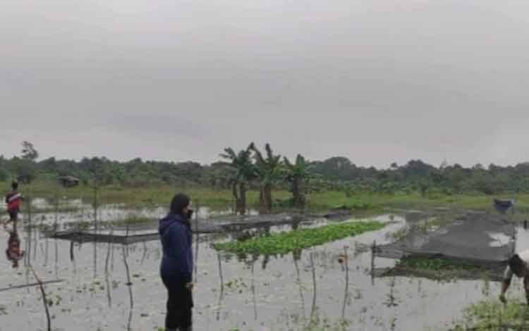 DTPHP Kobar Tak Miliki Program Khusus Penanganan Banjir Bagi Petani