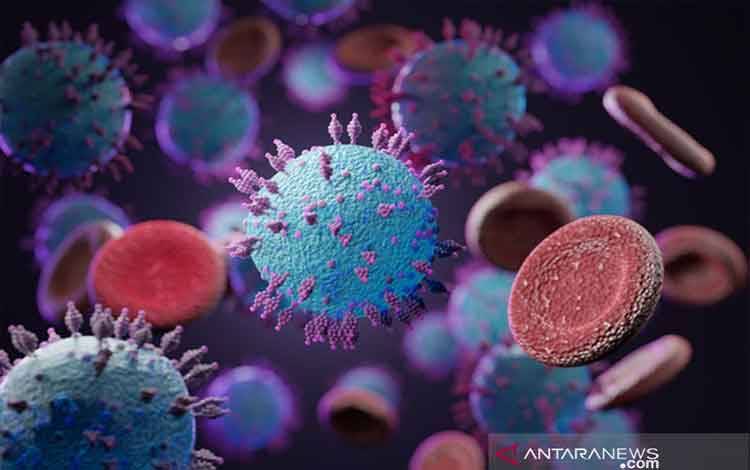 Pencegahan Sejak Terpapar Virus Corona Kurangi Risiko "Long COVID"