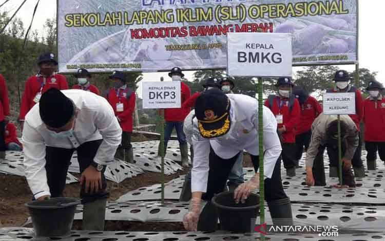 Sekolah Lapang Iklim Solusi Adaptasi Perubahan Cuaca Sektor Pertanian