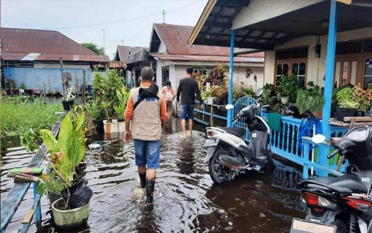 12 Kelurahan di Palangka Raya Terdampak Banjir