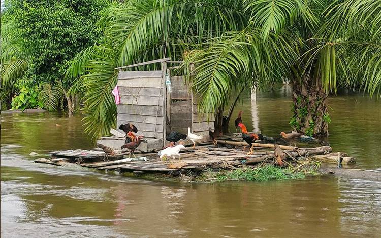 Banjir Masih Rendam 5 Desa di Kecamatan Kota Besi