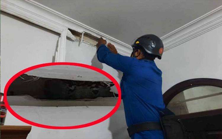 Melihat Ular di Sela Plafon Kamarnya, Ibu di Jalan Pembina Sampit: Ih... Geli
