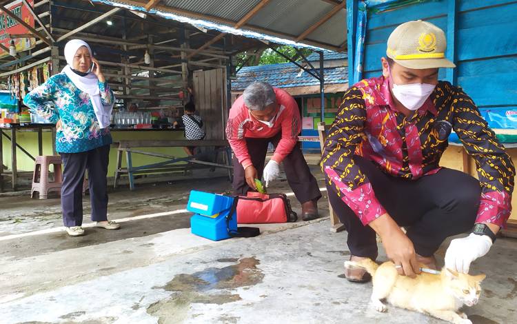 Kotim Mulai Gencarkan Vaksin untuk Kucing, Anjing, dan Kera