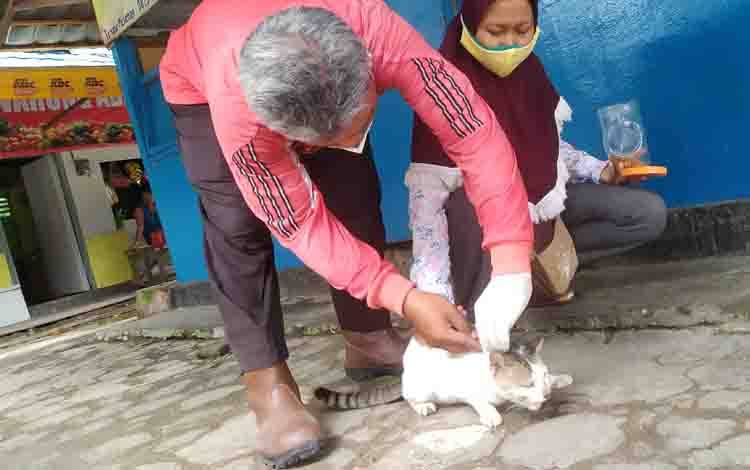 Pecinta Kucing di Sampit Senang Ada Vaksin Rabies Gratis
