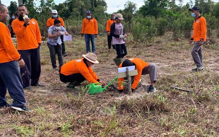 DLH Sukamara Tanam 1000 Pohon Peringati Hari Ozon Sedunia