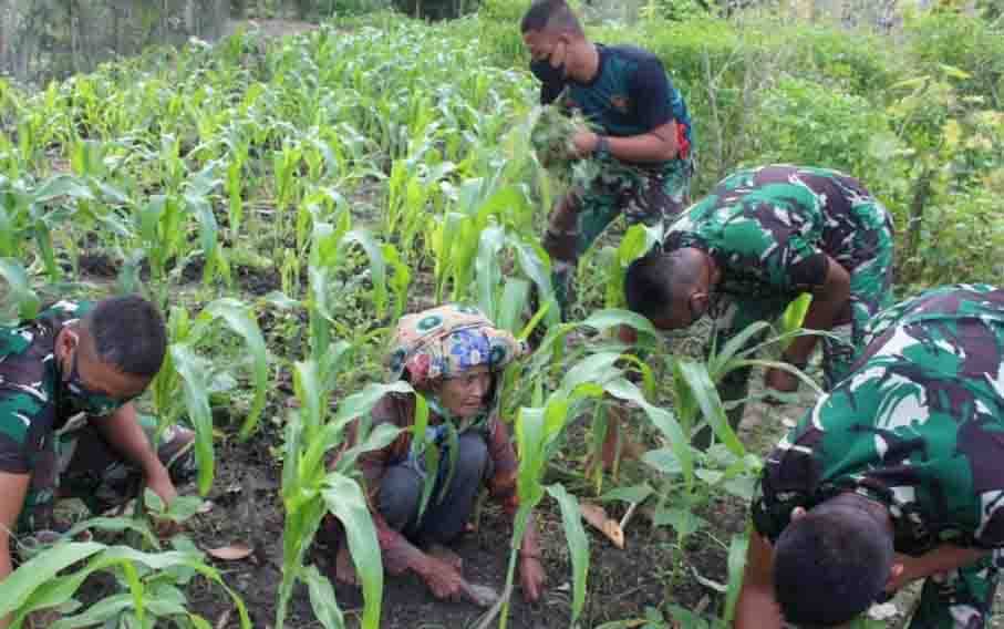 Satgas TMMD Bantu Nenek 78 Tahun Bersihkan Kebun