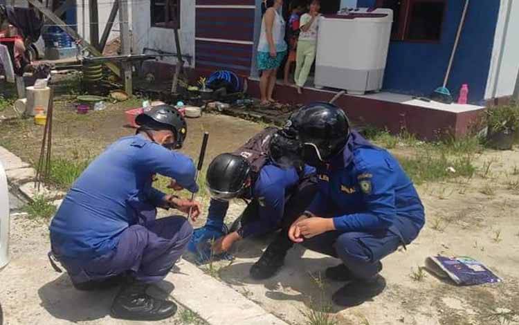 Akhirnya Kobra di Dapur Warga Tertangkap setelah Bongkar Lantai Beton