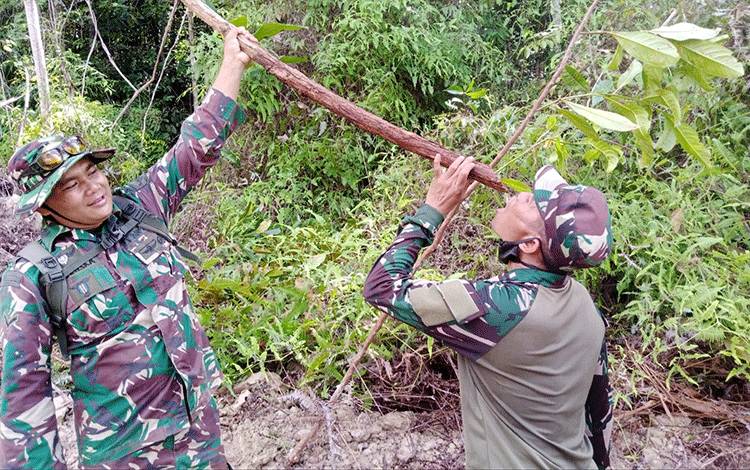 Bajakah Dipercaya Miliki Banyak Manfaat