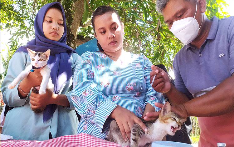 Puluhan Warga Laporkan Kasus Gigitan Hewan di Kotim