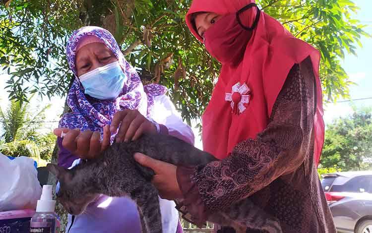 Penampungan Kucing Liar di Sampit Merasa Terbantu Adanya Vaksin Rabies Gratis