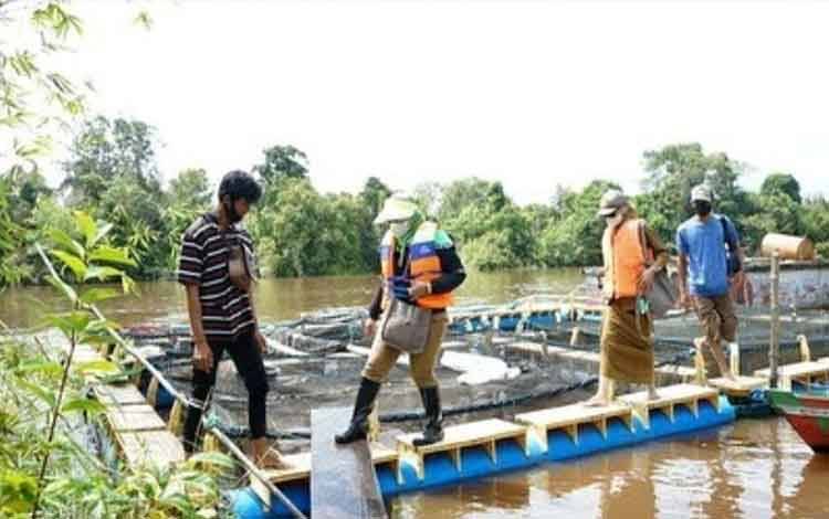Gemar Makan Ikan Solusi Cegah Stunting, Kata Wakil Wali Kota Palangka Raya