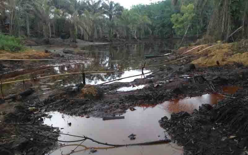 Kementerian ESDM: Pertambangan Tanpa Izin Melanggar Konstitusi