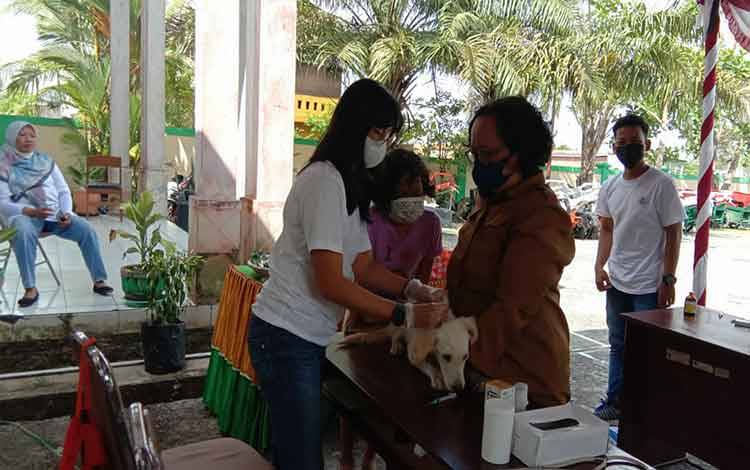 Warga Antusias Bawa Hewan Peliharaan untuk Ikuti Vaksinasi Rabies