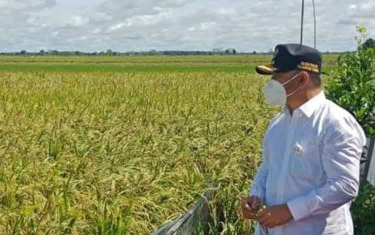 Pemkab Pulang Pisau Susun Konsep Pariwisata di Kawasan Food Estate
