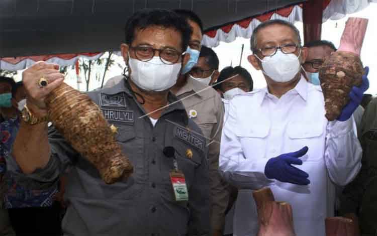 Mentan: Pertanian Satu-Satunya Penyangga Ekonomi pada Masa Pandemi